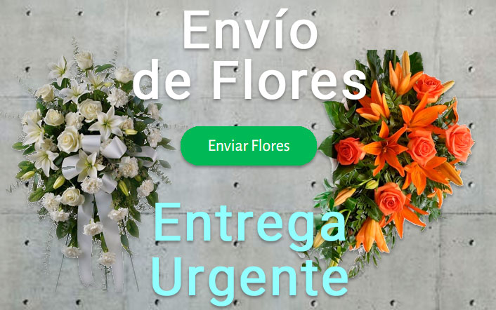 Envio flores difunto urgente a Tanatorio Guadalajara